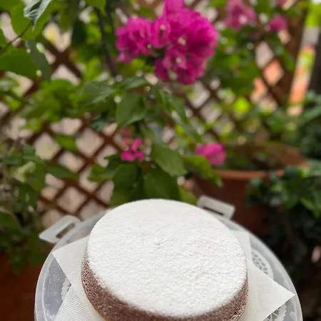 Casa Pamela Гостевой дом *