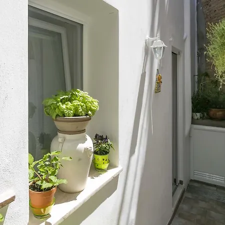 Casa Pamela Pensionat 4*