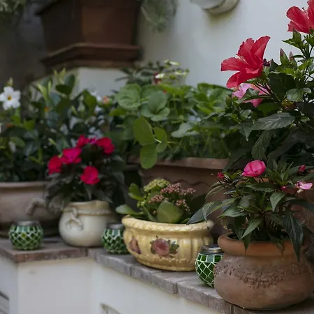 Pensionat Casa Pamela Capri