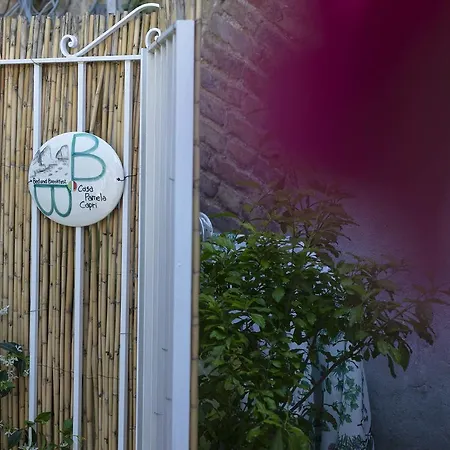 Pensionat Casa Pamela Capri