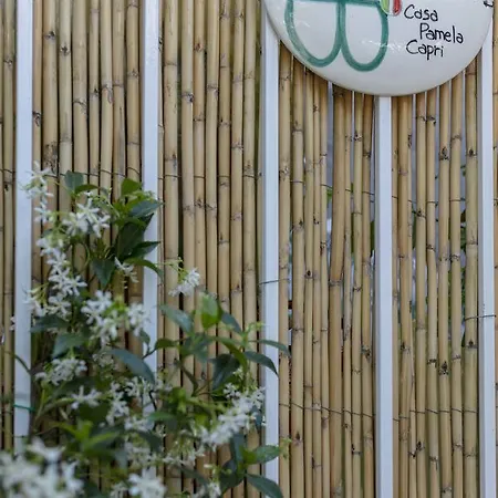 Konukevi Casa Pamela Capri