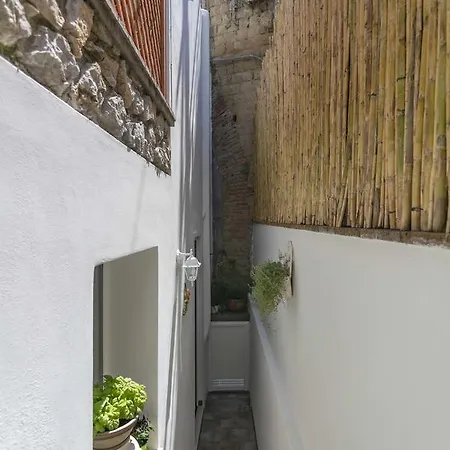 Casa Pamela Pensionat *