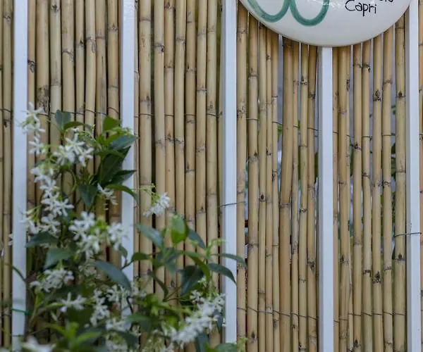 Affittacamere Casa Pamela Capri