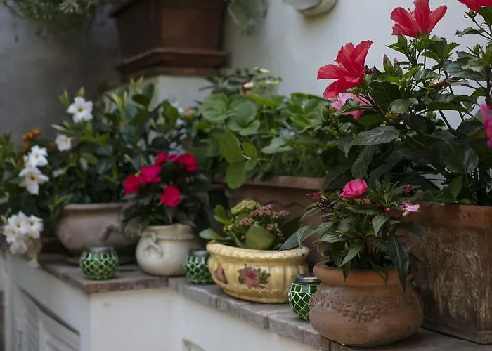 Affittacamere Casa Pamela Capri